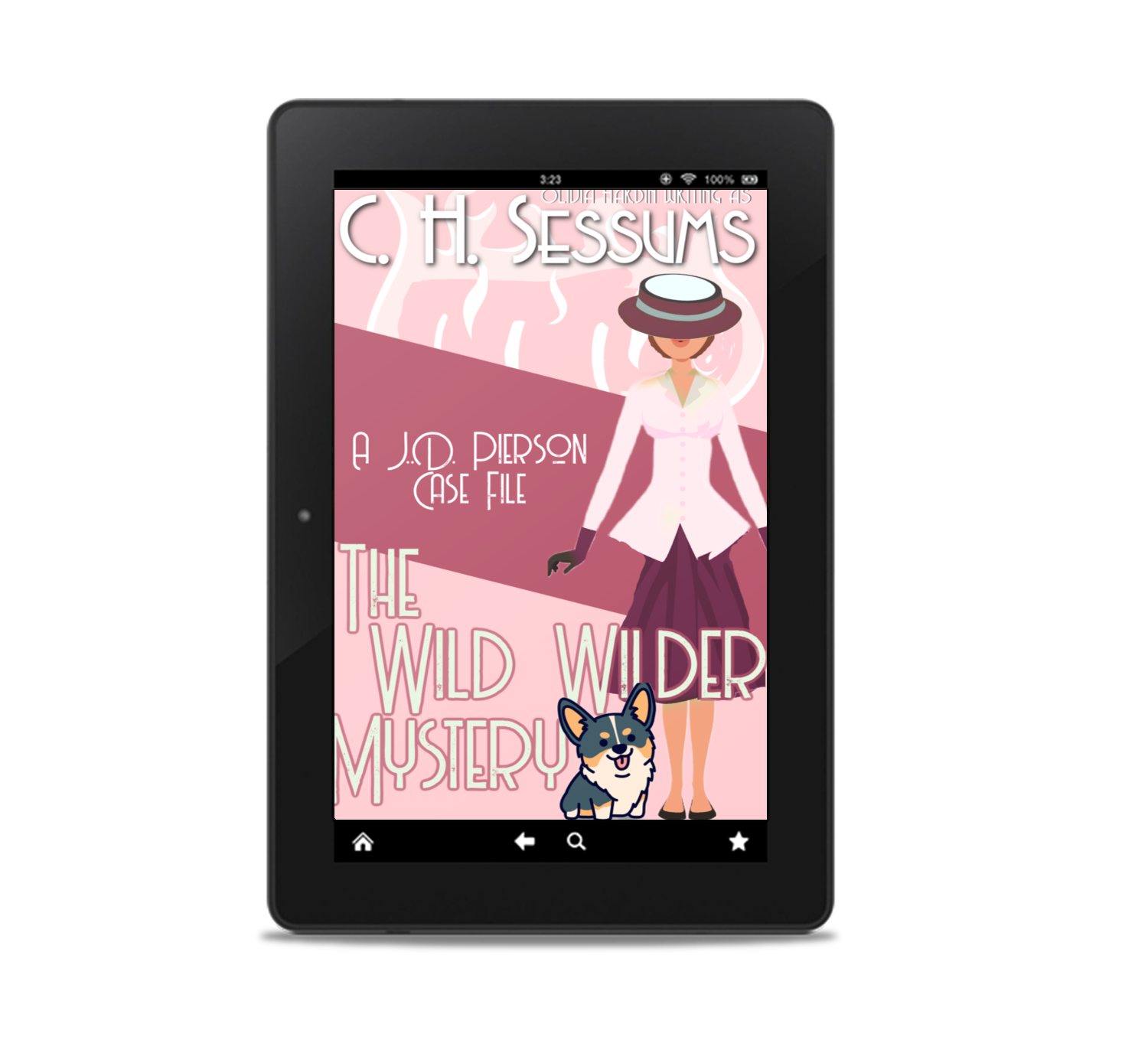 wwm ereader